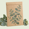 Kraft seed packet illustrated with Silver Drop Eucalyptus, with fresh Silver Drop Eucalyptus beside it