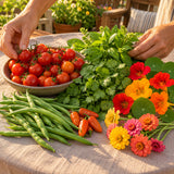 Small Space Vegetable and Flower Seed Mix harvest up close