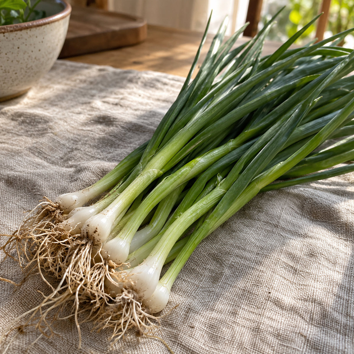 Solbunch Scallion Seeds harvest up close