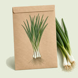Kraft seed packet illustrated with Solbunch Scallion, with fresh Solbunch Scallion beside it