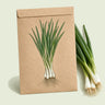 Kraft seed packet illustrated with Solbunch Scallion, with fresh Solbunch Scallion beside it