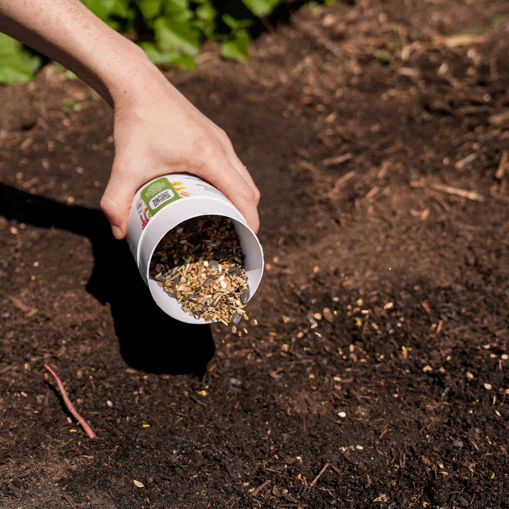 Product photo of songbird flower mix seed shaker