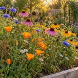 Songbird Flower Mix Seed Shaker growing in a home garden