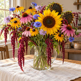 Songbird Flower Mix Seeds harvest up close