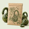 Kraft seed packet illustrated with Speckled Swan Gourd, with fresh Speckled Swan Gourd beside it