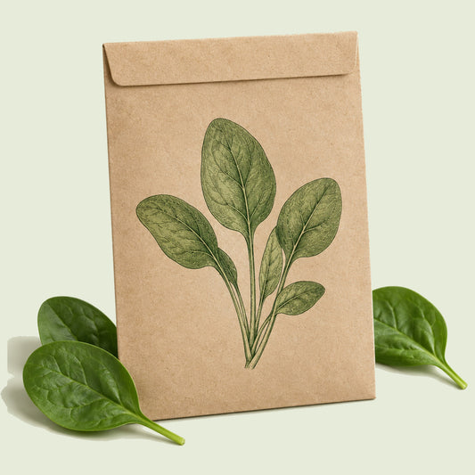 Kraft seed packet illustrated with Spinach Baby Greens, with fresh Spinach Baby Greens beside it