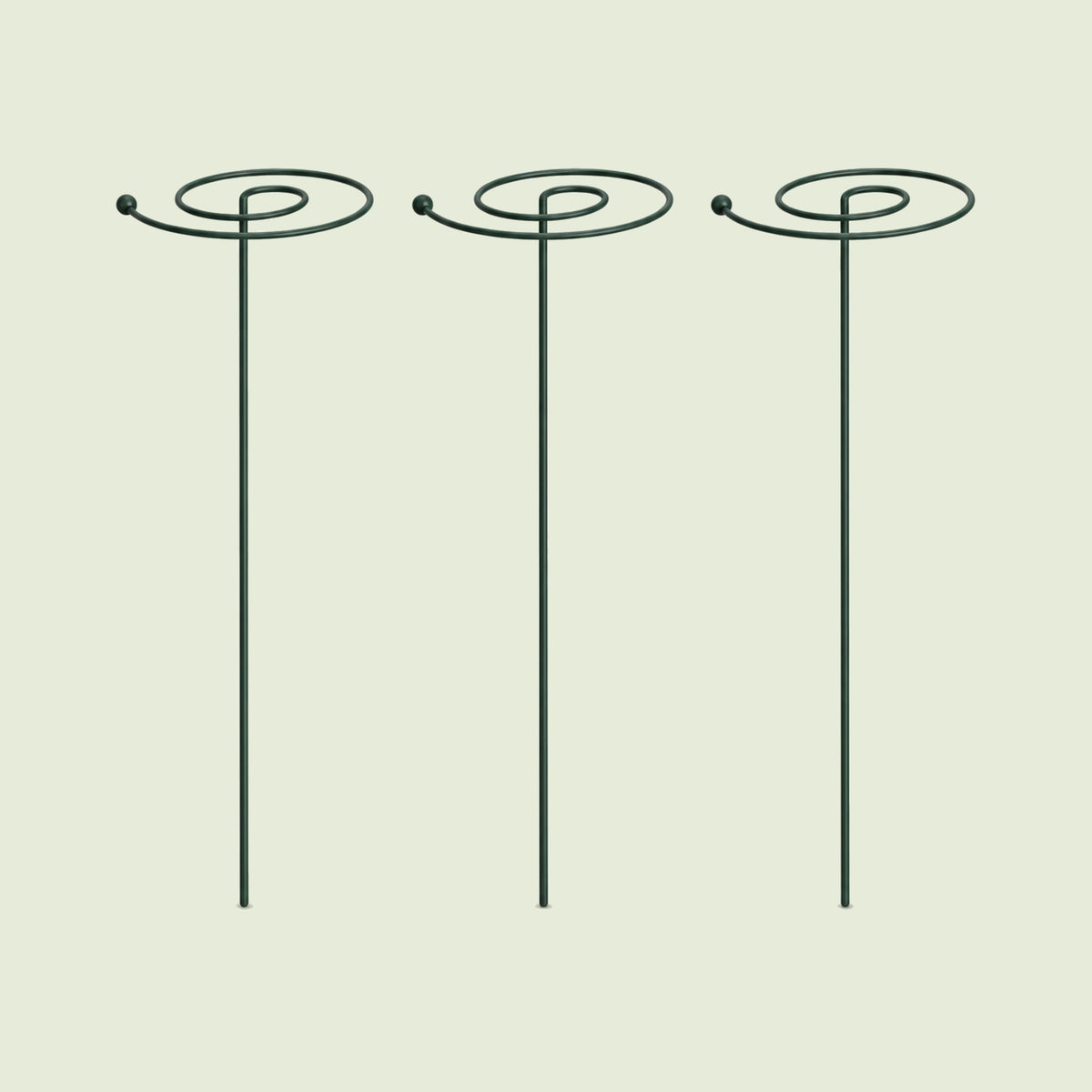 Spiral Single-Stem Plant Supports, 3 Pack on a soft green background