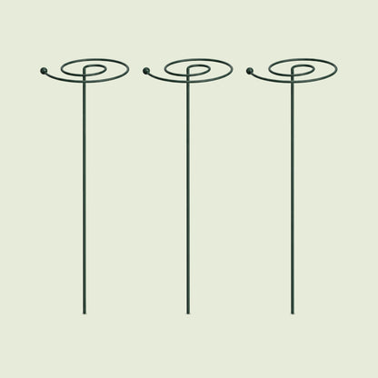 Spiral Single-Stem Plant Supports, 3 Pack on a soft green background