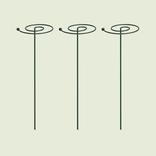 Spiral Single-Stem Plant Supports, 3 Pack on a soft green background