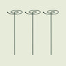 Spiral Single-Stem Plant Supports, 3 Pack on a soft green background