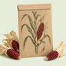 Kraft seed packet illustrated with Strawberry Popcorn, with fresh Strawberry Popcorn beside it