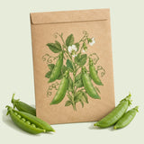 Kraft seed packet illustrated with Sugar Daddy Snap Pea, with fresh Sugar Daddy Snap Pea beside it