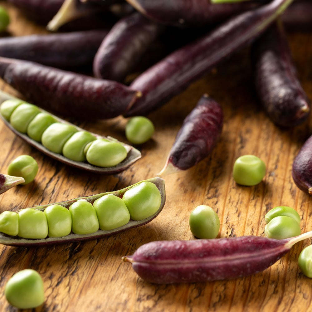 Sugar Magnolia Snap Pea seeds