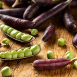 Sugar Magnolia Snap Pea seeds