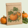 Kraft seed packet illustrated with Sugar Pie Pumpkin, with fresh Sugar Pie Pumpkin beside it