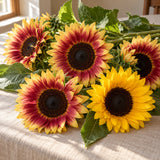 Summer Lovin Sunflower Seeds harvest up close