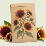 Kraft seed packet illustrated with Summer Lovin Sunflower, with fresh Summer Lovin Sunflower beside it