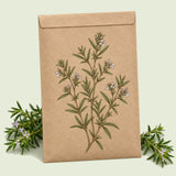 Kraft seed packet illustrated with Summer Savory Herb, with fresh Summer Savory Herb beside it