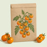 Kraft seed packet illustrated with Sun Gold Cherry Tomato, with fresh Sun Gold Cherry Tomato beside it
