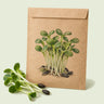 Kraft seed packet illustrated with Sunflower Microgreens, with fresh Sunflower Microgreens beside it