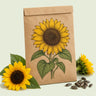 Kraft seed packet illustrated with Sunspot Dwarf Sunflower, with fresh Sunspot Dwarf Sunflower beside it