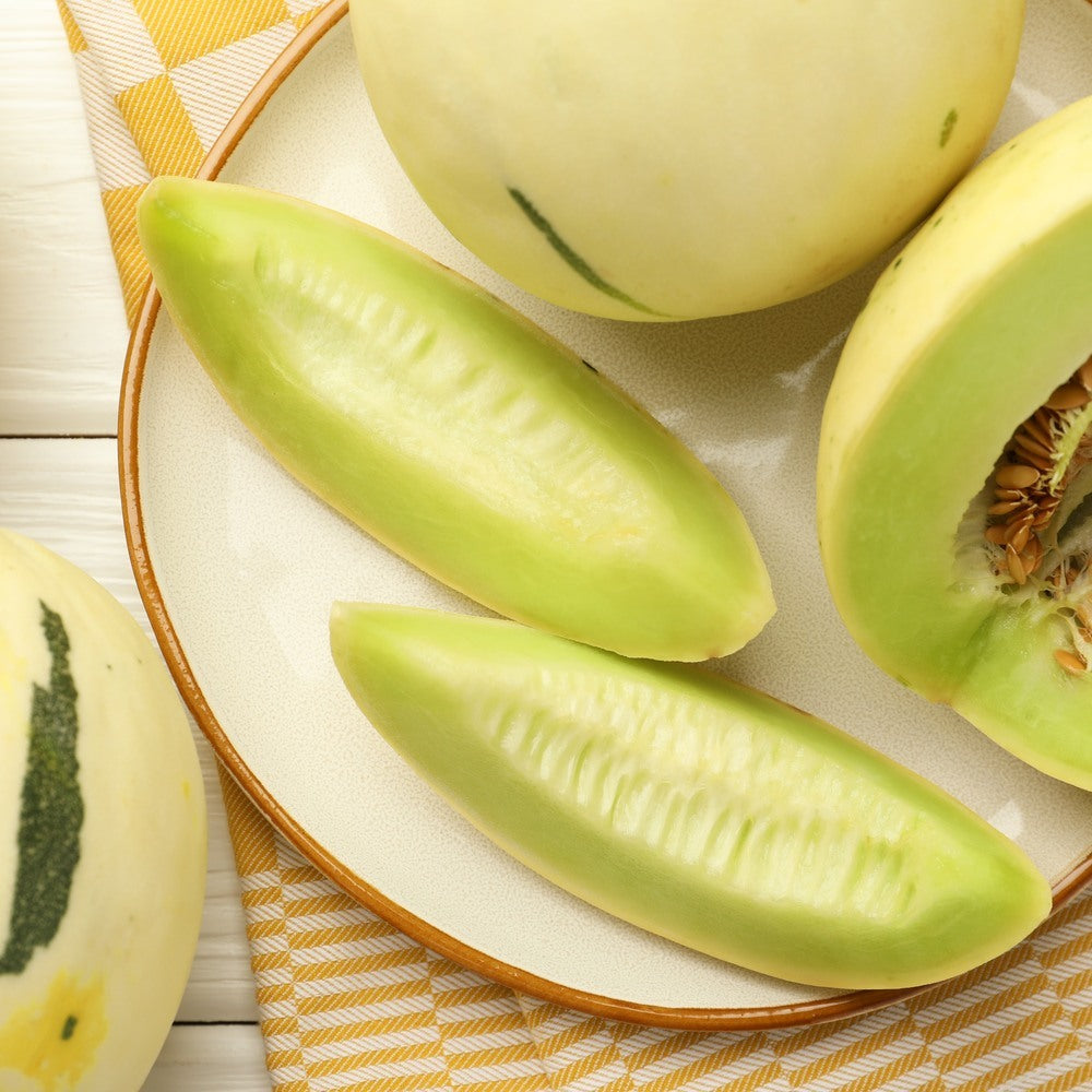 Sweet Delight Honeydew Garden Melon plants in the garden