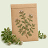 Kraft seed packet illustrated with Sweet Marjoram Herb, with fresh Sweet Marjoram Herb beside it