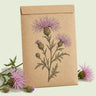 Kraft seed packet illustrated with Sweet Sultan, with fresh Sweet Sultan beside it