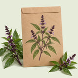 Kraft seed packet illustrated with Sweet Thai Basil Herb, with fresh Sweet Thai Basil Herb beside it