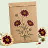 Kraft seed packet illustrated with Swirl Coreopsis Flower, with fresh Swirl Coreopsis Flower beside it