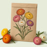 Kraft seed packet illustrated with Swiss Giants Strawflower Blend, with fresh Swiss Giants Strawflower Blend beside it