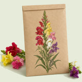 Kraft seed packet illustrated with Tall Maximum Blend Snapdragon, with fresh Tall Maximum Blend Snapdragon beside it