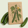Kraft seed packet illustrated with Tasty Green Japanese Cucumber, with fresh Tasty Green Japanese Cucumber beside it