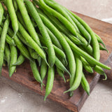 Tavera French Filet Bush Bean plants in the garden