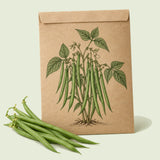 Kraft seed packet illustrated with Tavera French Filet Bush Bean, with fresh Tavera French Filet Bush Bean beside it