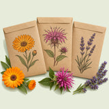 Kraft seed packet illustrated with Tea Garden Seed Bundle, with fresh Tea Garden Seed Bundle beside it