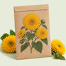 Kraft seed packet illustrated with Teddy Bear Yellow Dwarf Sunflower, with fresh Teddy Bear Yellow Dwarf Sunflower beside it