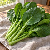Tendergreen Komatsuna Seeds harvest up close
