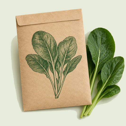 Kraft seed packet illustrated with Tendergreen Komatsuna, with fresh Tendergreen Komatsuna beside it