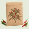 Kraft seed packet illustrated with Thai Hot Patio Chile Pepper, with fresh Thai Hot Patio Chile Pepper beside it