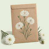Kraft seed packet illustrated with The Bride Bachelor's Button, with fresh The Bride Bachelor's Button beside it