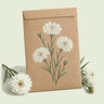 Kraft seed packet illustrated with The Bride Bachelor's Button, with fresh The Bride Bachelor's Button beside it