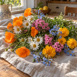 Three Season Bloom Flower Mix Seeds harvest up close