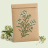 Kraft seed packet illustrated with Tiny Tim Sweet Alyssum Flower, with fresh Tiny Tim Sweet Alyssum Flower beside it