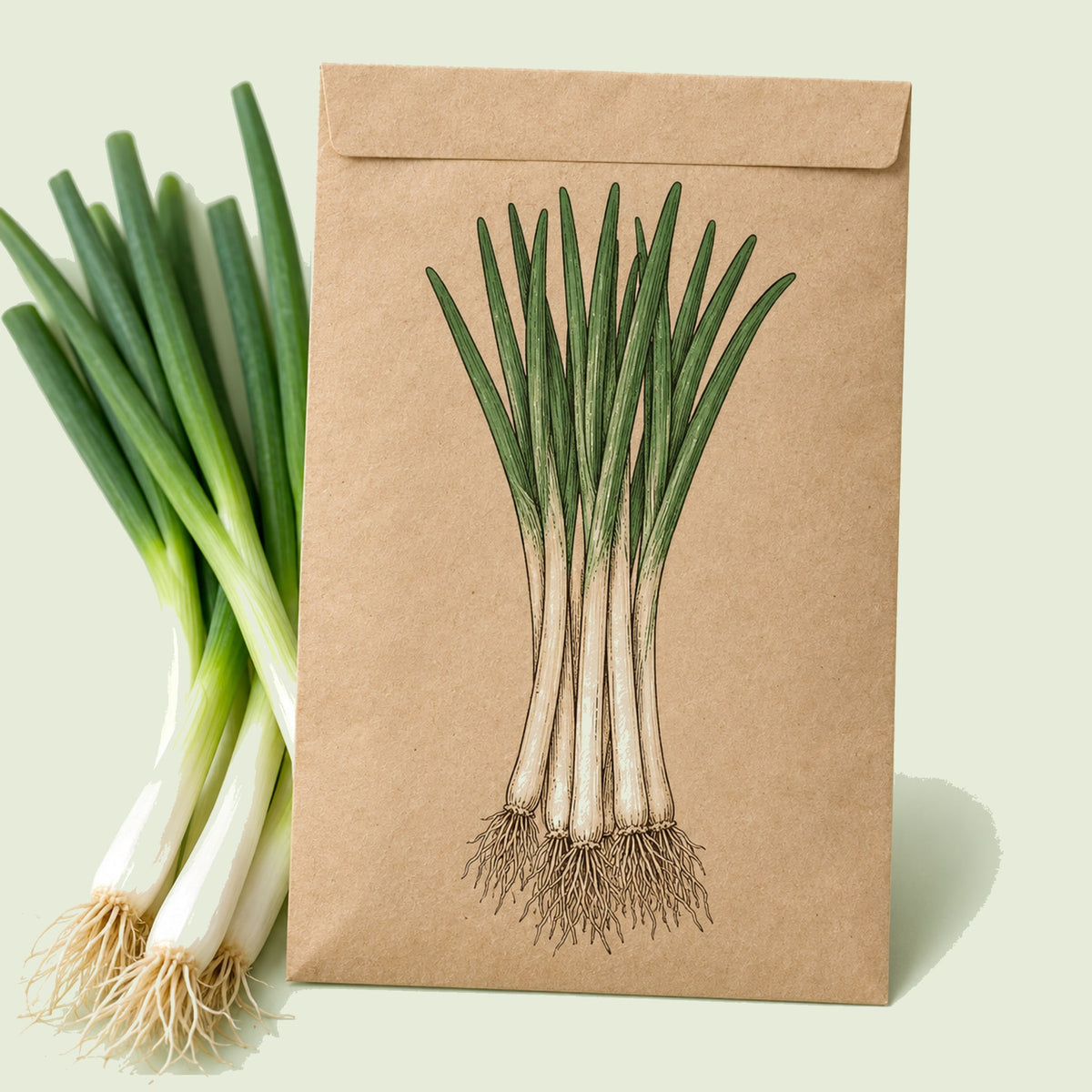 Kraft seed packet illustrated with Tokyo Long White Scallion, with fresh Tokyo Long White Scallion beside it