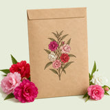 Kraft seed packet illustrated with Tom Thumb Balsam, with fresh Tom Thumb Balsam beside it