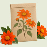 Kraft seed packet illustrated with Torch Orange Mexican Sunflower, with fresh Torch Orange Mexican Sunflower beside it