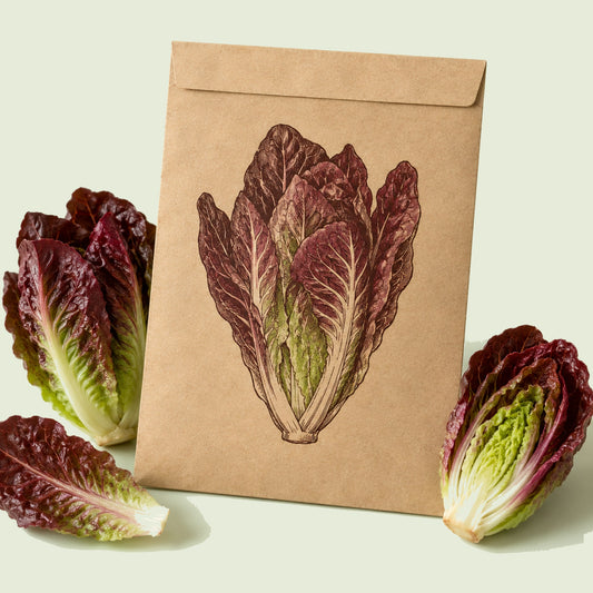 Kraft seed packet illustrated with Truchas Mini Romaine Lettuce, with fresh Truchas Mini Romaine Lettuce beside it