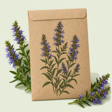 Kraft seed packet illustrated with True Hyssop Herb, with fresh True Hyssop Herb beside it