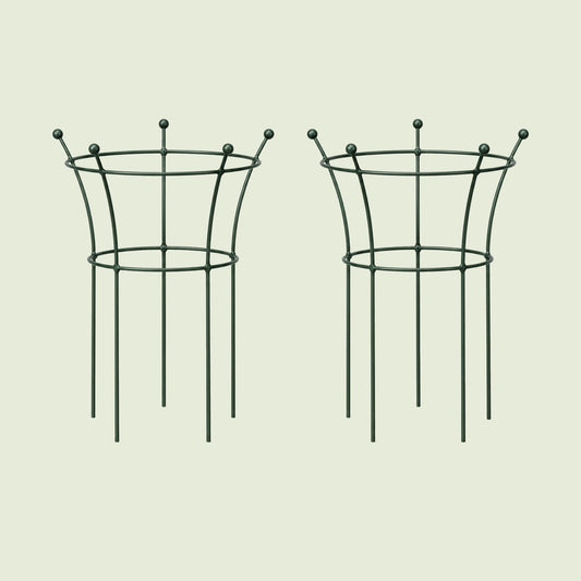 Trumpet Flower Support Cage, 2 Pack on a soft green background
